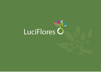 Floricultura LuciFlores